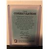 Image 2 : FRANK BRIMSEK 2013 ITGAME USED JERSEY VINTAGE-BETWEEN THE PIPES-SILVER VERSION
