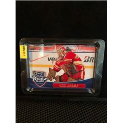 JIMMY HOWARD 2014-15 UD WINTER CLASSIC THE BIG HOUSE SERIES 1