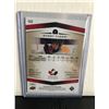 Image 2 : ROBBY FABBRI 2014 UD TEAM CANADA JUNIORS HIGH GLOSS 08/10