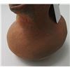 Image 8 : San Diego Wedding Pot