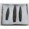 Image 1 : Plano Paleo Cache