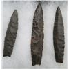 Image 3 : Plano Paleo Cache