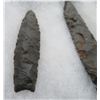 Image 8 : Plano Paleo Cache