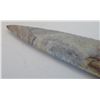 Image 14 : Large Fine Dovetail