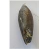 Image 3 : Chumash Plummet Stone