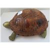 Image 5 : Wood & Brass Turtle