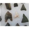 Image 8 : San Diego Early Man Points