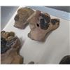 Image 12 : Pre-Columbian Black Head Collection