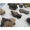Image 13 : Pre-Columbian Black Head Collection