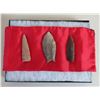Collection of Paleo Points
