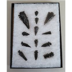 Collection of Obsidian Artifacts