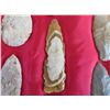 Image 5 : Collection of Flint Relics