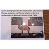 Image 20 : Tang Dynasty Terra Cotta Painted Bactrian Camel Figure