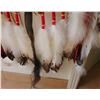 Image 12 : Plains Indian Dance Shield