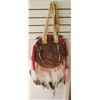 Image 3 : Plains Indian Dance Shield
