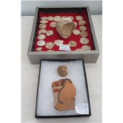 Ocean Fossils & Mayan Artifacts