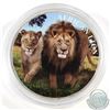 Image 1 : 2016 Republic of Congo 5000 Franc 1oz .999 Fine Silver African Lion Coloured Coin in Capsule (TAX Ex