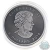 Image 2 : 2015 Canada 1oz .9999 Fine Silver Ruthenium Plated & Coloured Airplane Maple Leaf (capsule lightly s