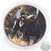 Image 1 : 2014 Canada 1oz .9999 Fine Silver Coloured Moose Maple Leaf (Coin obverse toned & capsule scratched)