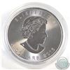 Image 2 : 2016 Canada 1oz .9999 Fine Silver Coloured and Gilded Fireworks Maple Leaf (capsule lightly scratche