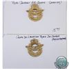 Image 1 : 2x Royal Canadian Air Cadets Badges. You will receive the English and French (discoloured) version o