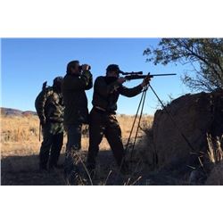 2-Day/2-Night Precision Rifle Course for Two Shooters in Whitewright, Texas