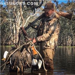 3-Day Duck Hunt for Two Hunters in Australia - Includes Taxidermy Credit