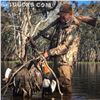 Image 1 : 3-Day Duck Hunt for Two Hunters in Australia - Includes Taxidermy Credit