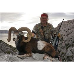 5-Day European Mouflon Ram Hunt for One Hunter in Croatia - Includes Trophy Fee
