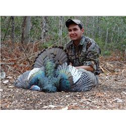 7-Day Campeche Jungle Hunt for Two Hunters in Mexico - Includes Trophy Fees