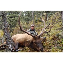 8-Day Elk Hunt for One Hunter in Northern British Columbia - Includes Trophy Fee