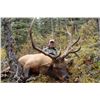 Image 1 : 8-Day Elk Hunt for One Hunter in Northern British Columbia - Includes Trophy Fee