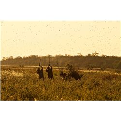 3-Day High Volume Dove Hunt for Two Hunters in Santa Cruz, Bolivia