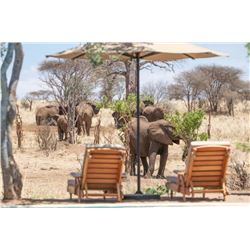 4-Day Luxury Photo-Safari for Two in Tanzania