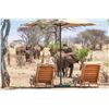 Image 1 : 4-Day Luxury Photo-Safari for Two in Tanzania