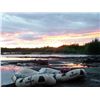 Image 1 : 6-Day Alaskan Float Raft Fishing Adventure for Two Anglers