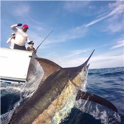 5-Day/4-Night (3 Fishing Days) Billfishing Trip for Two Anglers in Guatemala