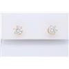 Image 1 : 14KT Yellow Gold 1.00ctw Diamond Earrings