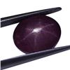 Image 2 : 3.36ct Oval Star Ruby Gemstone