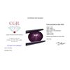 Image 5 : 3.36ct Oval Star Ruby Gemstone