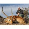 Image 3 : 7 DAY BLACK IMPALA AND COPPER SPRINGBUCK HUNT