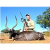 Image 5 : 7 DAY BLACK IMPALA AND COPPER SPRINGBUCK HUNT