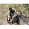 Image 5 : 7 DAY $5000 CAPE BUFFALO CREDIT AND DAILY RATES FOR 1 HUNTER AND 1 NON HUNTER