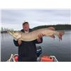 Image 1 : 4 DAY SASKATCHEWAN GUIDED FISHING TRIP FOR 2