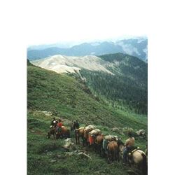 7 DAY COLORADO GUIDED ELK HUNT