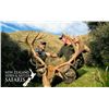 Image 3 : New Zealand 10 day 3 hunters 1x1 guided hunt