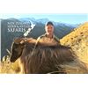 Image 4 : New Zealand 10 day 3 hunters 1x1 guided hunt