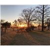 Image 2 : AB Steyn Safaris is offering a 10 day hunt for one hunter including the trophy fee for one crocodile