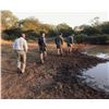 Image 3 : AB Steyn Safaris is offering a 10 day hunt for one hunter including the trophy fee for one crocodile