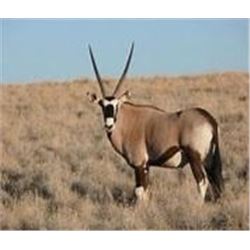 Marupa Safaris 2 hunters in the foot hills of Waterberg mountains